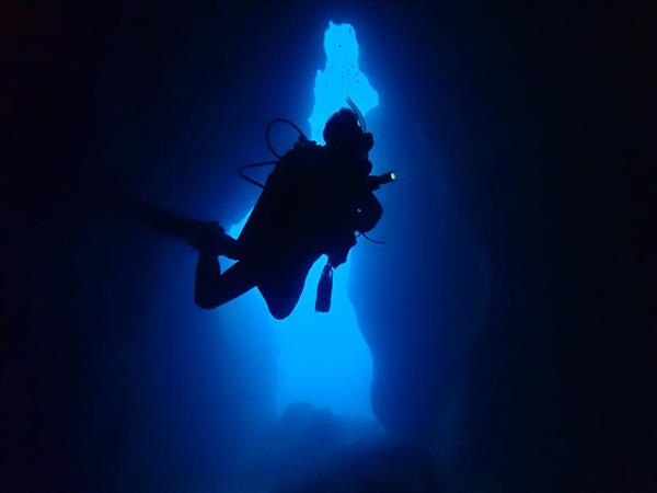 Scuba Diving 2 Dives